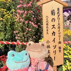 亀戸天神社(東京都)