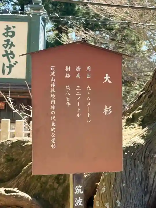 筑波山神社の{uncategorized: "未分類", other: "その他", undefined: "問題あり", building: "その他建物", grave: "お墓", sacred_gate: "鳥居", guardian: "狛犬", statue: "像", buddha: "仏像", history: "歴史", nature: "自然", garden: "庭園", animal: "動物", pagoda: "塔", temizu: "手水舎", mountain_gate: "山門・神門", sanctuary: "本殿・本堂", subordinate: "末社・摂社", art: "芸術", scenery: "景色", jizo: "地蔵", ema: "絵馬", goshuin: "御朱印", omikuji: "おみくじ", items: "授与品その他", amulet: "お守り", goshuincho: "御朱印帳", eats: "食事", festival: "お祭り", votive_dance: "神楽", shichigosan: "七五三参", wedding: "結婚式", experience: "体験その他", initially: "初詣", around: "周辺", anti_infection: "感染症対策"}