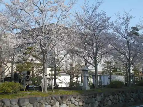 鶴岡八幡宮の景色