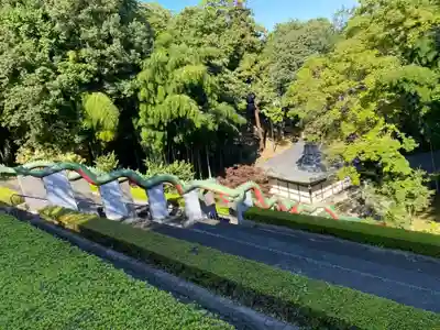 金乗院放光寺(埼玉県)