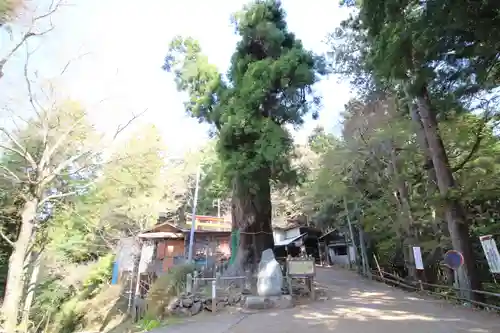 天龍寺(埼玉県)