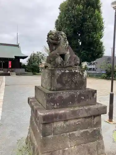 谷原氷川神社の狛犬