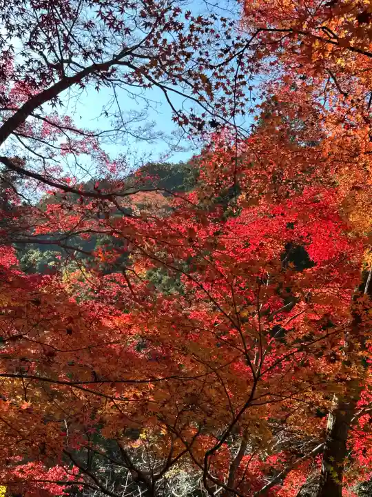 山科聖天 雙林院(双林院) (京都府)