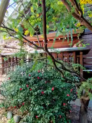 蔵前神社(東京都)