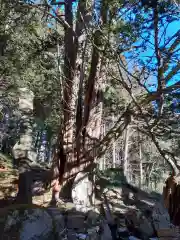 早池峰神社の自然