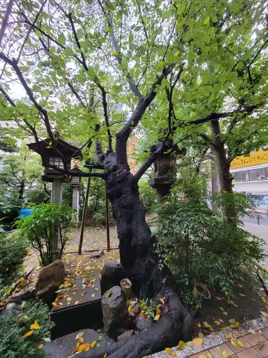 金刀比羅宮東京分社の自然