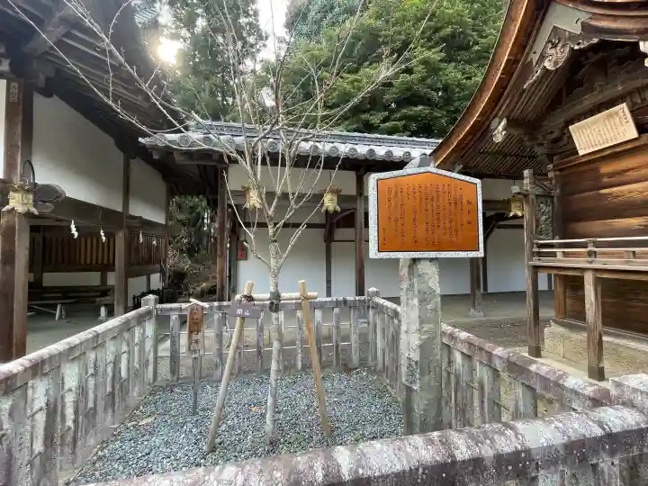 馬見岡綿向神社の{uncategorized: "未分類", other: "その他", undefined: "問題あり", building: "その他建物", grave: "お墓", sacred_gate: "鳥居", guardian: "狛犬", statue: "像", buddha: "仏像", history: "歴史", nature: "自然", garden: "庭園", animal: "動物", pagoda: "塔", temizu: "手水舎", mountain_gate: "山門・神門", sanctuary: "本殿・本堂", subordinate: "末社・摂社", art: "芸術", scenery: "景色", jizo: "地蔵", ema: "絵馬", goshuin: "御朱印", omikuji: "おみくじ", items: "授与品その他", amulet: "お守り", goshuincho: "御朱印帳", eats: "食事", festival: "お祭り", votive_dance: "神楽", shichigosan: "七五三参", wedding: "結婚式", experience: "体験その他", initially: "初詣", around: "周辺", anti_infection: "感染症対策"}