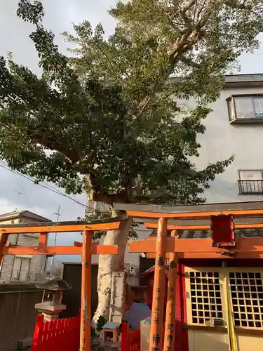 正森大明神/白龍大明神(兵庫県)