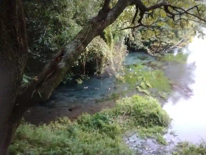 貴船神社(静岡県)