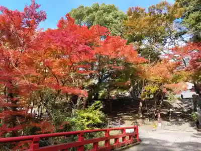 根来寺(和歌山県)