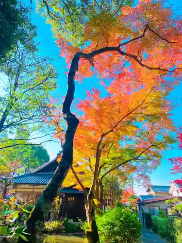 等彌神社の自然