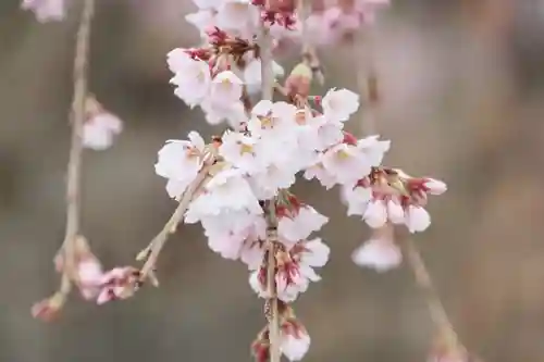 建福寺の庭園