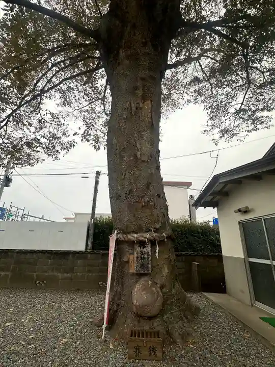須賀神社(宮城県)