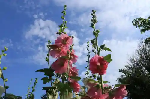 豊景神社の自然