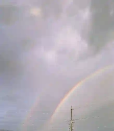 深志神社の{uncategorized: "未分類", other: "その他", undefined: "問題あり", building: "その他建物", grave: "お墓", sacred_gate: "鳥居", guardian: "狛犬", statue: "像", buddha: "仏像", history: "歴史", nature: "自然", garden: "庭園", animal: "動物", pagoda: "塔", temizu: "手水舎", mountain_gate: "山門・神門", sanctuary: "本殿・本堂", subordinate: "末社・摂社", art: "芸術", scenery: "景色", jizo: "地蔵", ema: "絵馬", goshuin: "御朱印", omikuji: "おみくじ", items: "授与品その他", amulet: "お守り", goshuincho: "御朱印帳", eats: "食事", festival: "お祭り", votive_dance: "神楽", shichigosan: "七五三参", wedding: "結婚式", experience: "体験その他", initially: "初詣", around: "周辺", anti_infection: "感染症対策"}