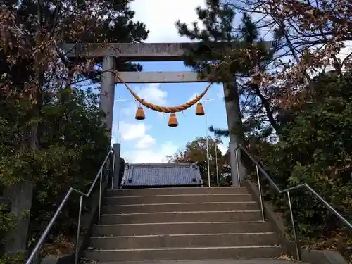 熊野社（築地熊野社）の鳥居