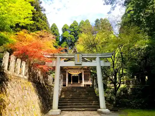 国造神社の鳥居