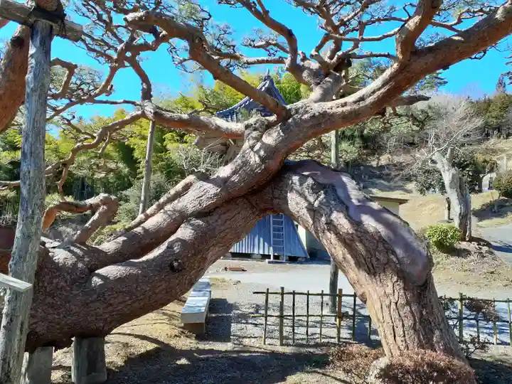 荘厳寺(岩手県)