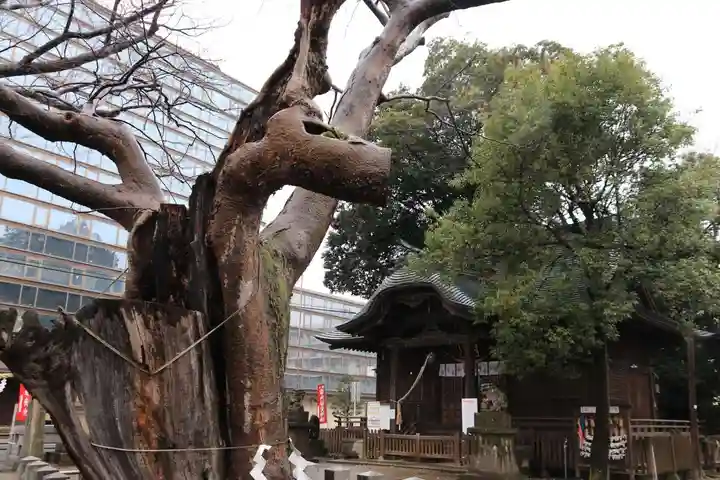 阿邪訶根神社のその他建物