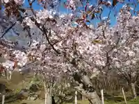 有珠善光寺の自然