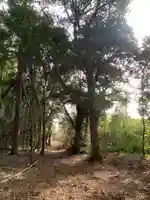 熊野神社(千葉県)