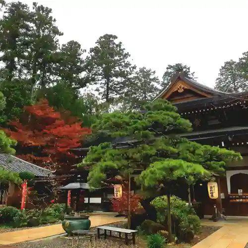 目の霊山　油山寺のその他建物