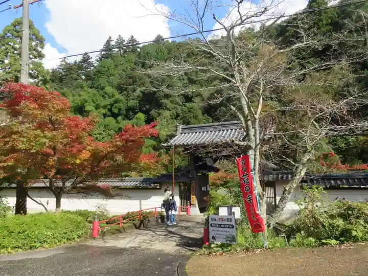 金剛院の山門・神門