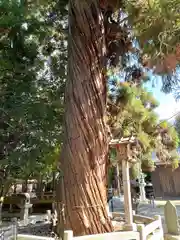 大隴神社(滋賀県)