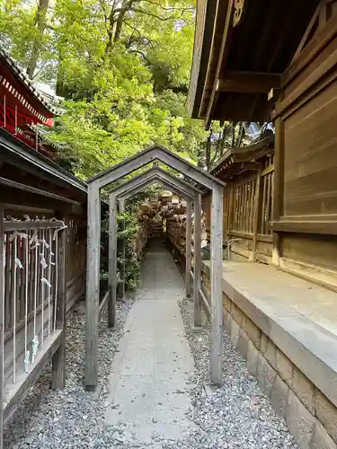川越氷川神社(埼玉県)