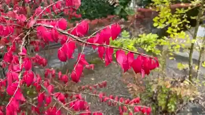 薬王山 東光寺(山形県)
