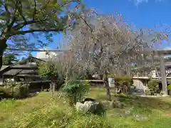 勝手神社(奈良県)