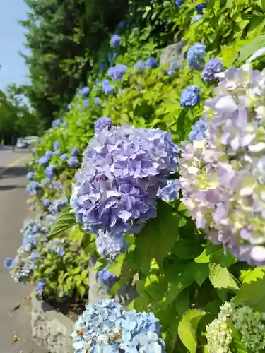 厚別神社(北海道)