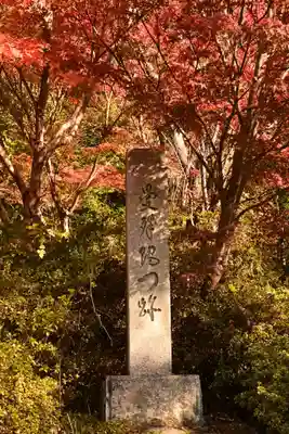 曼殊院門跡(京都府)