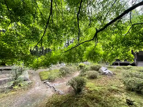 上ノ院本坊　来迎院の自然