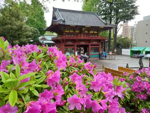 根津神社の山門・神門