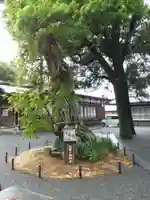 伊古奈比咩命神社(静岡県)