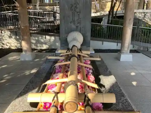 東郷神社(東京都)