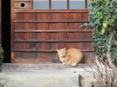大幸寺(京都府)