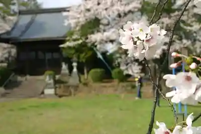 琵琶神社の自然