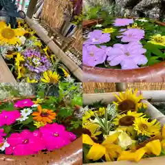 竹神社の手水