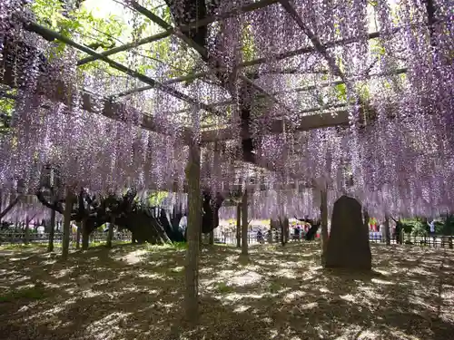 玉敷神社の庭園