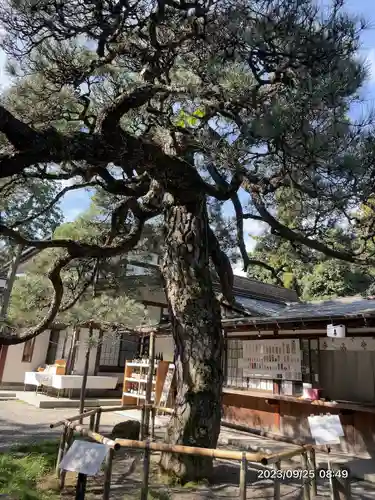 甲斐國一宮 浅間神社(山梨県)