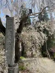 法善寺(埼玉県)