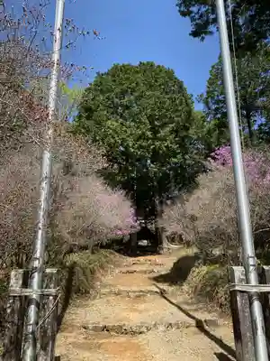 富士神社のその他建物