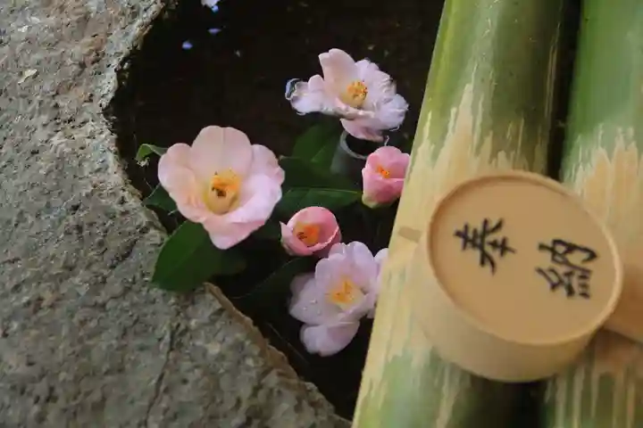 鹿島大神宮の手水舎