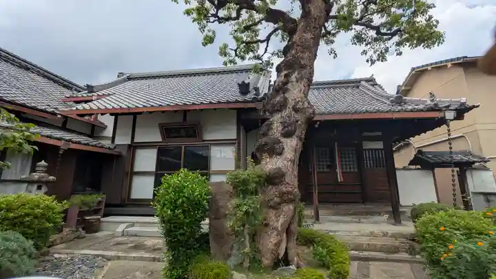 聖恩寺(京都府)