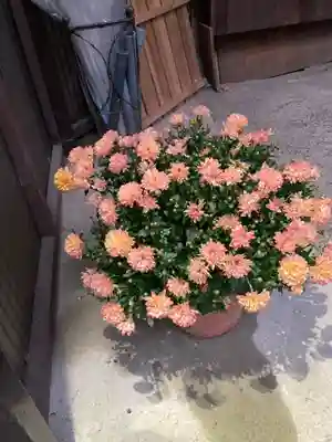 大綱金刀比羅神社(神奈川県)