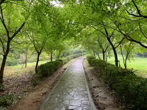 武雄神社の建物その他