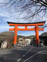 箱根神社の鳥居