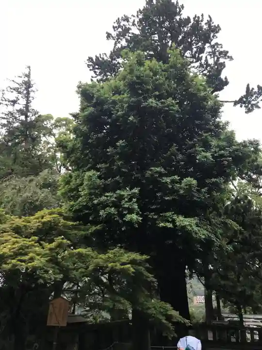 伊豆山神社(静岡県)